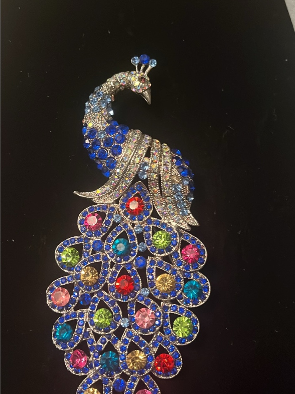 Ladies brooch
